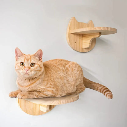 Cat Wall Climbing Shelf with Ladder, Scratching Post, and Hiding House - Pet Furniture Tree Tower Accessories