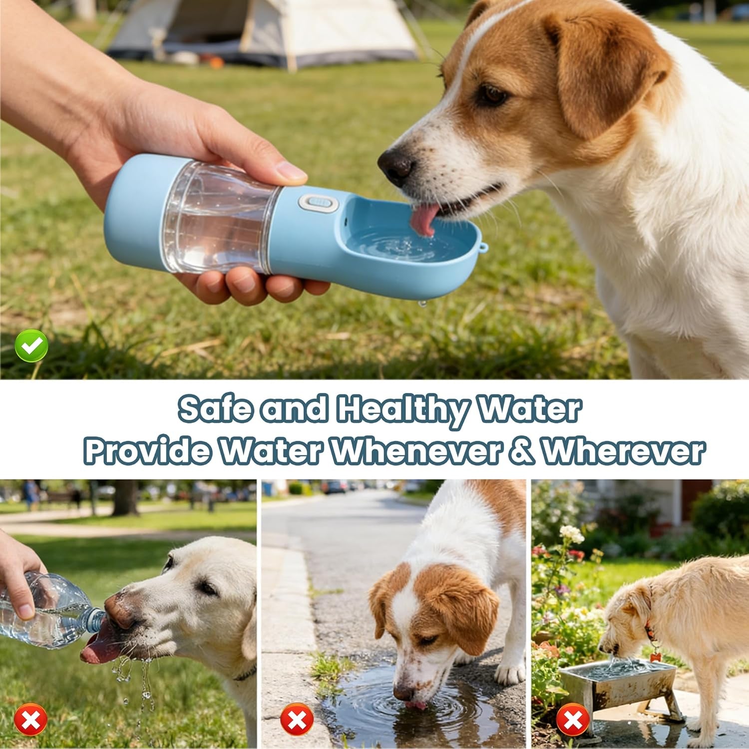 Portable Dog Water Bottle with Food Storage - Dishwasher Safe - Blue