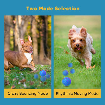 Interactive LED Dog Ball - Rechargeable Rolling Toy for Medium to Large Dogs with Motion and Flashing Lights, Blue